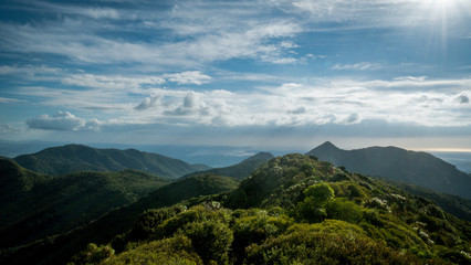 Views from Mt Pirongia, Pirongia Forest Park, Waikato Region in North Island, New Zealand