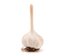 garlic isolated on white background.