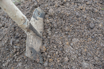 Gardening tool inserted in the soil.