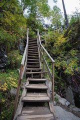 Obraz premium outdoor wooden stair case in the woods