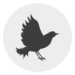 Fototapeta premium Bird circle web icon on isolation background