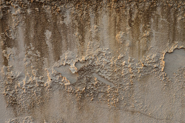 The surface of the wall is damaged, peeling and stained.