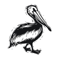 Pelican