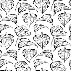 Seamless pattern with flowers of Calla Lily in black and white colors