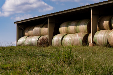 Round hay bales stored in a shed © jackienix
