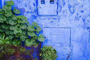 Walking Around Old Medina, Chefchaouen, Blue City of northwest Morocco