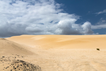 Fototapeta na wymiar Corralejo Sand Dunes in Fuerteventura, Spain