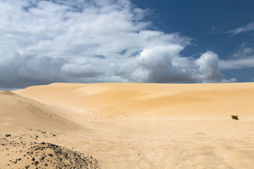 Corralejo Sand Dunes in Fuerteventura, Spain