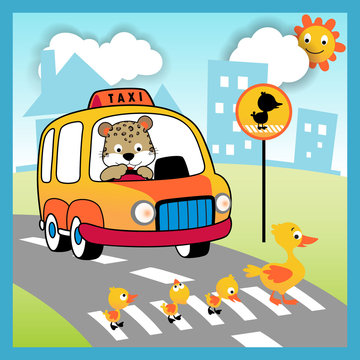 Driving in the road city with cute animals, vector cartoon illustration