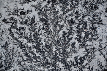 Black Patterns on a Stone