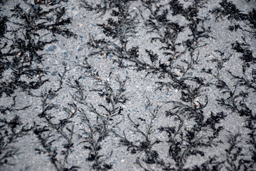 Black Patterns on a Stone