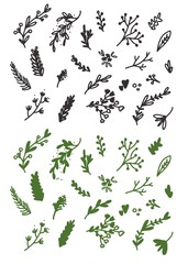 Floral doodle hand drawn set