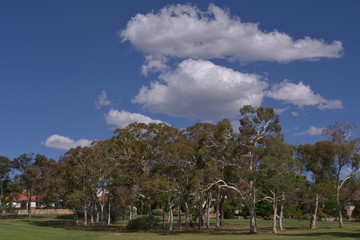 Fototapeta na wymiar Canberra street view