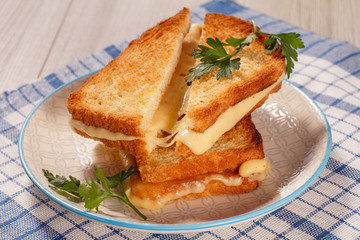 Toasted slices of bread with cheese and green parsley on white plate