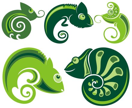 Chameleon icons. Cartoon illustration 