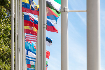 International flag poles
