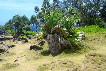 La R&eacute;union - Littoral au Cap M&eacute;chant