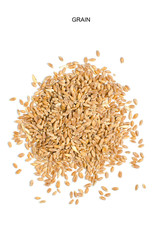 Wheat grain on white background.