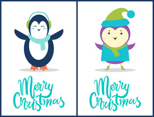 Merry Christmas Penguin, Bird Vector Illustration