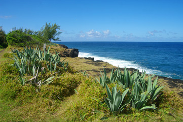 La Réunion - Littoral à Cayenne