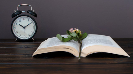  Still life photo of dried flower on an open book with black alram clock