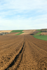 green wheat and plowed fields landscapes agriculture