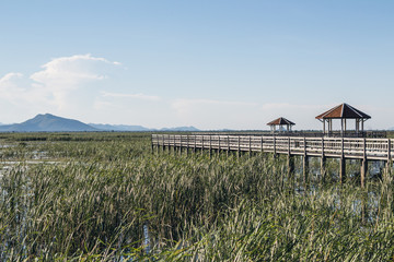 Wooden walkway in Khao Sam Roi Yot National Park, Kui Buri District, Prachuap Khiri Khan, Thailand