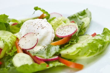fresh salad