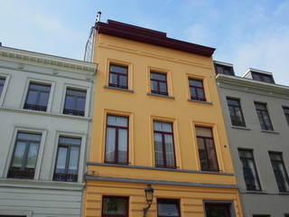 Obraz premium Hałas starych budynków z drzewami