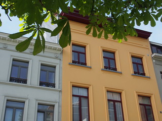 Altbauzeile mit Bäumen