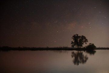 Lake in the night with the stars in the sky and the reflection of the trees and the sky. Landscape background.