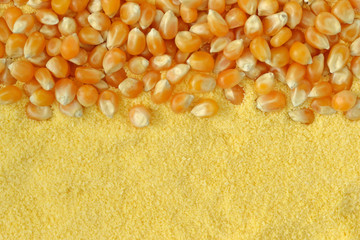 Dry corn kernels and corn flour background
