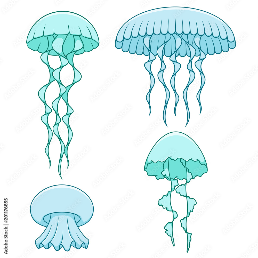 Aufkleber set of color illustrations with jellyfish. isolated vector objects on white background.