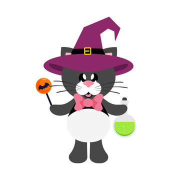 cartoon cute cat black with tie in witch hat with magic potion and candy