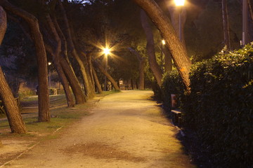 viale 