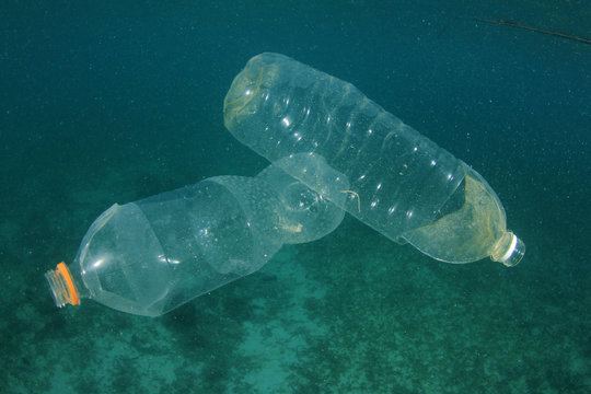Plastic pollution in ocean environmental problem