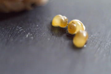 caviar of yellow snails