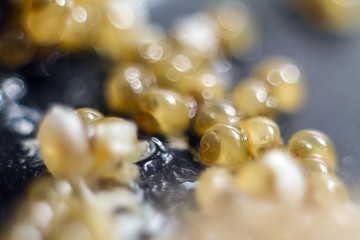caviar of yellow snails