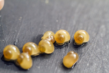 caviar of yellow snails