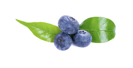blueberries isolated on white background