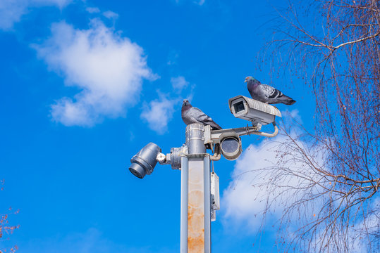 Pigeons sitting on the surveillance camera