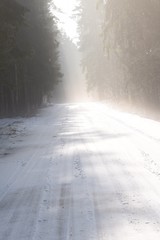 droga leśna w śniegu 