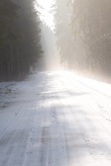 droga leśna w śniegu  © agnieszkalll