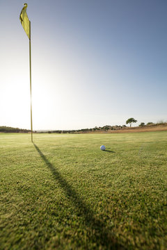 Flag and golf ball on a golf course