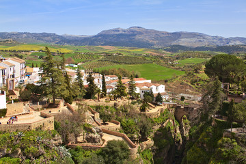 Fototapeta na wymiar Natural landscape of Ronda. Andalusia