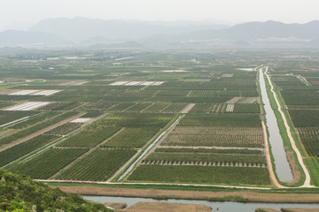Top view of agricultural land. Valley of fields with irrigation system
