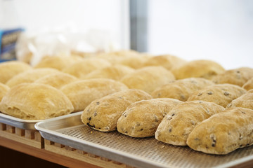 Chocolate chip bread 