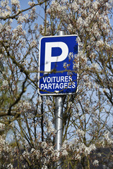 voiture partagee auto ecologie pollution co carbone kilometre mobilite parking vert printemps soleil