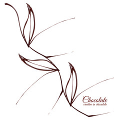 Chocolate in the form of a leaves. Melted chocolate syrup on white background. Liquid chocolate on...