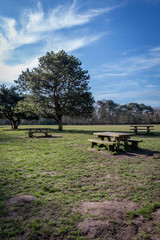 Picnic benches in a park